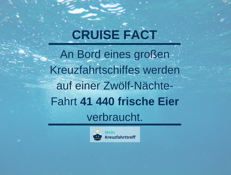 Cruise Fact